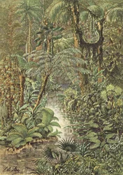 Antediluvianische Landschaft, ein Wald aus der Karbonzeit (Farblithographie)