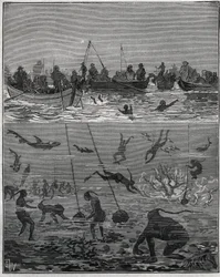 Perlenfischer in Ceylon (heutiges Sri Lanka) im 19. Jahrhundert. Gravur von 1885 in „Les arts et métiers illustrés“ von Adolphe Bitard.