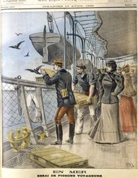 Freilassung französischer Armeebrieftauben an Bord des transatlantischen Liners La Bretagne zwischen Le Havre und New York