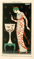 Seidenhauskleid, Mode