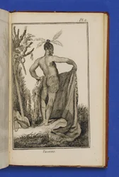 Tacouri, Illustration aus 