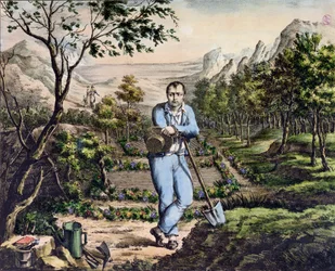 Der Gärtner von St. Helena