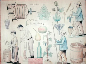 Der Monat Oktober: Weinproduktion