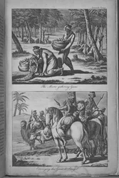 Die Mauren sammeln Gummi und transportieren das Gummi nach Senegal, Illustration aus „Eine Reise nach Senegal...“