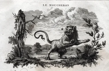 Die Mücken. Fabel von Äsop. Geschrieben von Guillaume Montfort und graviert von Beauble im Jahr 1801