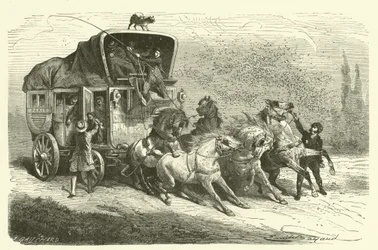 Der Käferregen (Stich)