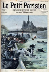 Ausbildung von Rettungshunden durch die Polizei in der Seine in Paris. Gravur in „Le Petit Parisien“.