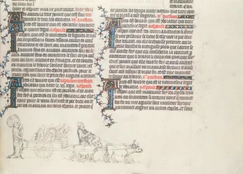 Transport von Habseligkeiten in einem von Ochsen gezogenen Wagen, unvollendete Miniatur aus der Bibel von Jean de Sy, ca. 1355
