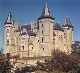 Ansicht des Schlosses, 1227 von St. Louis wieder aufgebaut und im 16. Jahrhundert von Bartolommeo verstärkt