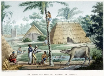 Ansicht in der Nähe von Coupang, Insel Timor
