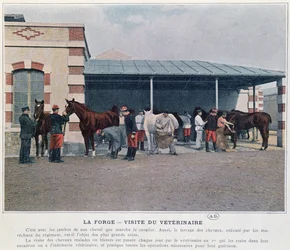 Besuch des Armeeveterinärs in der Kaserne, 1897