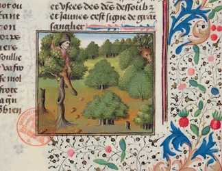 Warten auf Hirsche, versteckt in einem Baum, aus dem Livre de la Chasse von Gaston Phebus
