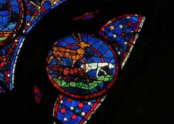 Fenster w115, die Erschaffung der Tiere darstellend