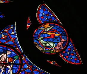 Fenster w115, die Erschaffung der Vögel und Tiere darstellend