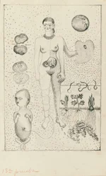 Frida und die Fehlgeburt