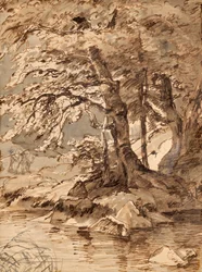Baumstudie