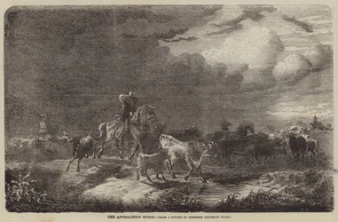 Der herannahende Sturm