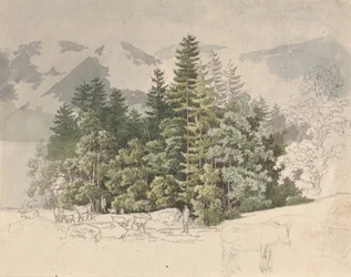 Alpenlandschaft