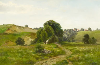 Sommerliche Hügellandschaft