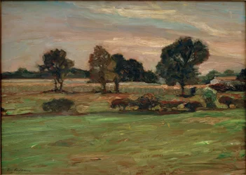 Moorlandschaft