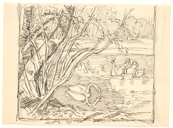 Ein See mit vier Schwänen