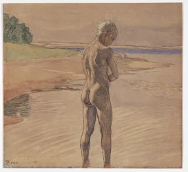 Hans stehend im Wasser. Motiv von Fyns Hoved