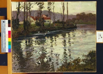 Flusslandschaft mit Enten
