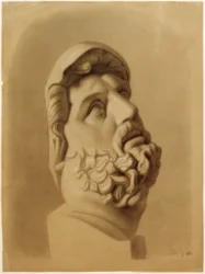 Kopfdetail des Laokoon
