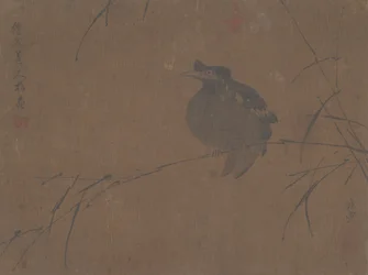 Mynah auf Schilf