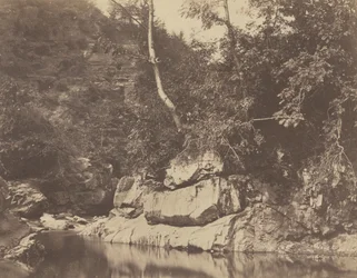 Flusslandschaft