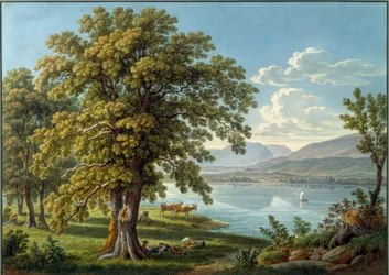 Blick von der St. Petersinsel auf den Bielersee