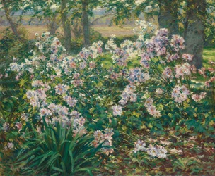 Windblumen, 1912