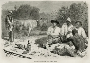 Eine Gruppe von Vaqueros spielt Karten und trinkt Alkohol, in der Nähe ihrer Rinderherden, Gravur nach einer Zeichnung von G. Vuillier, zur Illustration der Geschichte De Cayenne aux Andes, von Jules Crevaux, Arzt der französischen Marine, in den Jahren 18