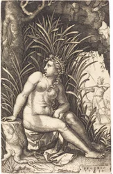 Prokris