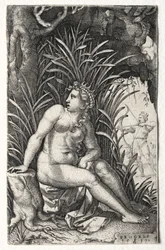 Prokris