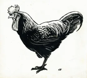 Das Huhn