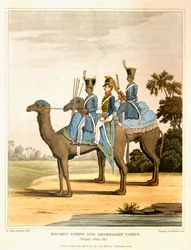 Raketen- und Dromedarkorps, Bengalische Armee 1817, aus 