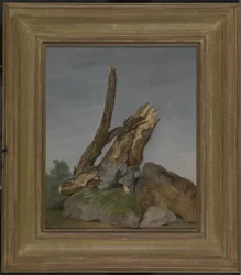 Studie von Felsen und Ästen, ca. 1795