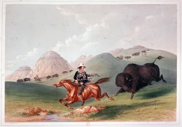 Bisonjagd in Nordamerika - Lithografie von Georges Catlin