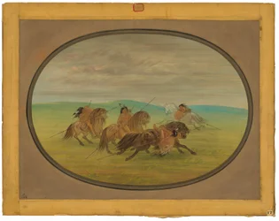 Camanchee-Reitkunst