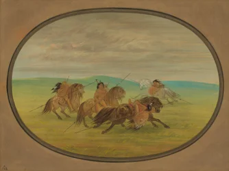 Camanchee-Reitkunst
