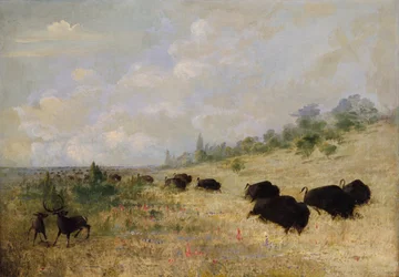 Elch und Büffel weiden unter Prärieblumen, Texas