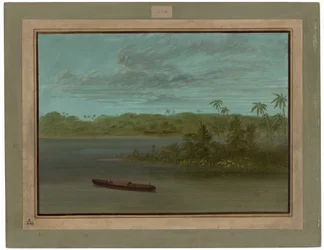 Mündung des Rio Purus