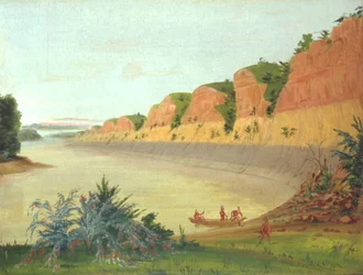 Südseite von Buffalo Island, mit Büffelbeeren im Vordergrund