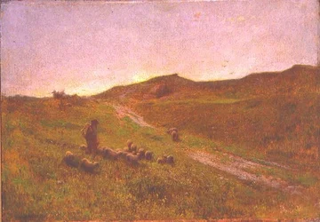 Abend auf dem Moor