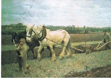 Pflügen