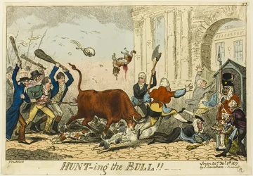 Die Jagd auf den Stier!!