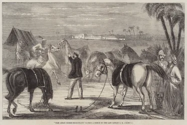 Der arabische Pferdehändler