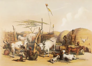 Ein Zulu-Kraal am Umgaki-Fluss in Natal