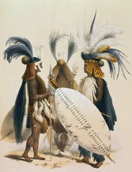 Zulu-Soldaten der Armee von König Panda, Tafel 20 aus 